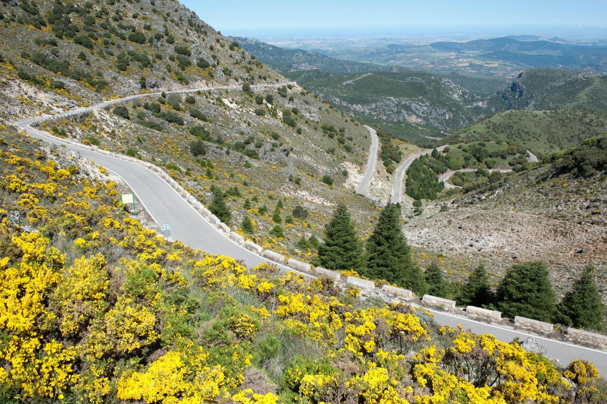 Al Lago Zahara De La Sierra Exteriör bild